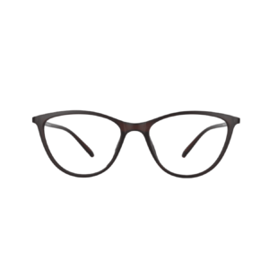 Non Branded Eye Glasses P573