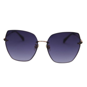 Sunglasses p420